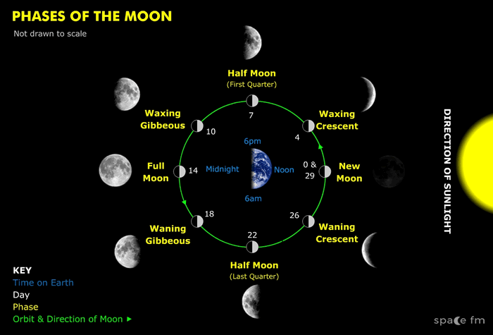 The Length of the Lunar Cycle