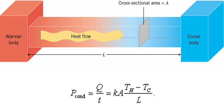 Heat Transfer In Metal Rod